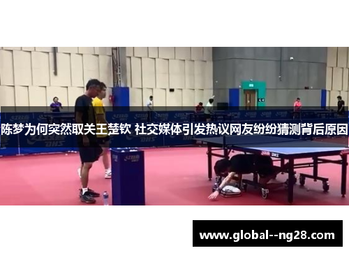 陈梦为何突然取关王楚钦 社交媒体引发热议网友纷纷猜测背后原因 陈梦为何突然取关王楚钦 社交媒体引发热议网友纷纷猜测背后原因