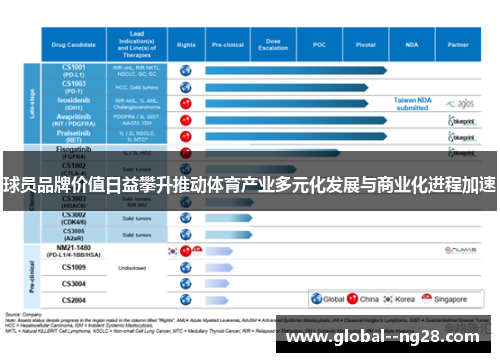 球员品牌价值日益攀升推动体育产业多元化发展与商业化进程加速