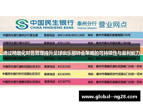 通过精细化财务管理提升足球俱乐部转会策略的可持续性与盈利能力