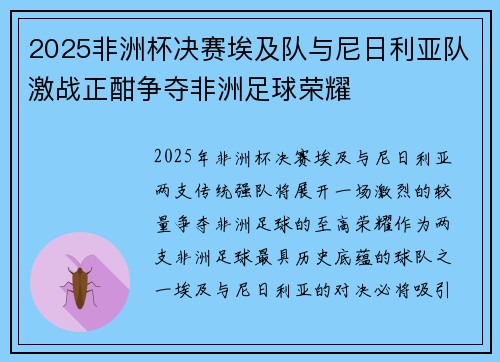 2025非洲杯决赛埃及队与尼日利亚队激战正酣争夺非洲足球荣耀